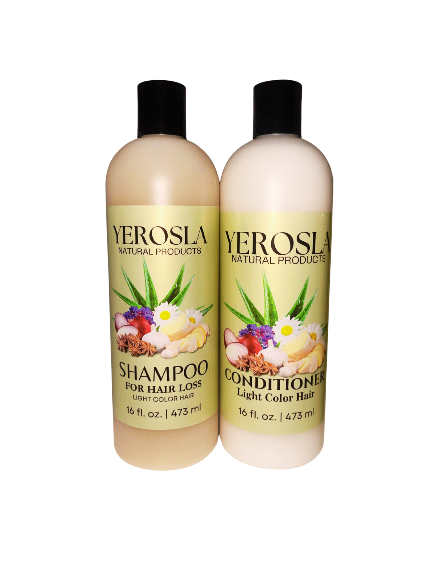 Hair Repairing Treatment Kit